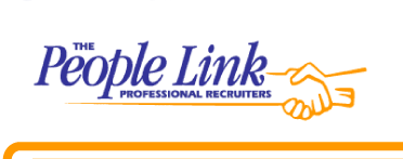 The People Link Professional Recruiters